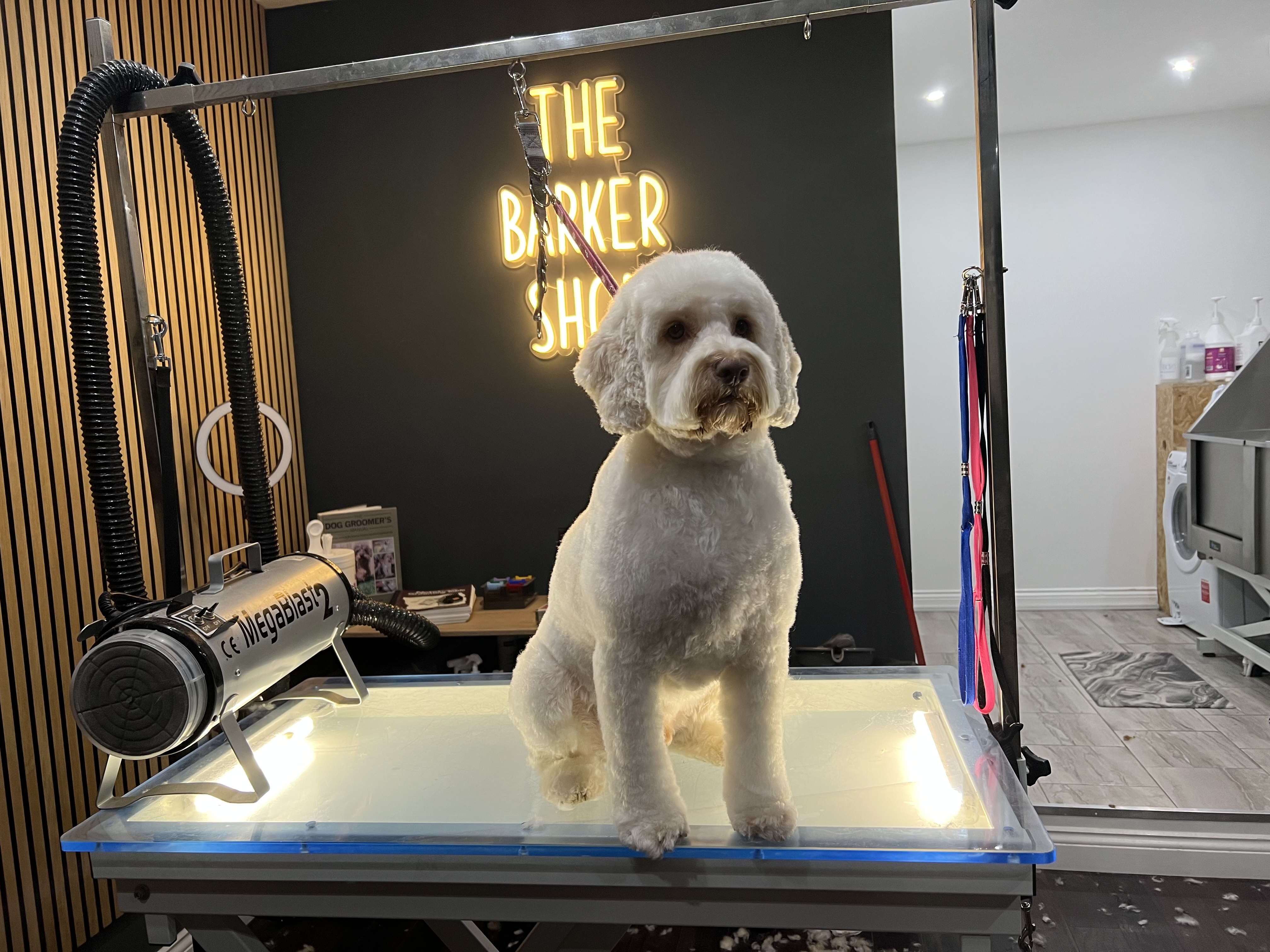 Barkers clearance dog groomers