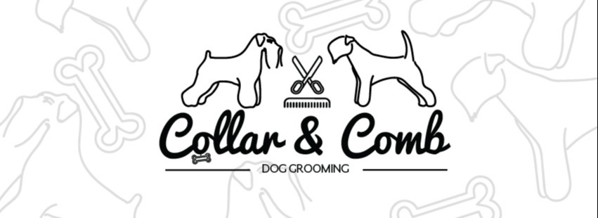 Welcome to Collar Comb Dog Grooming